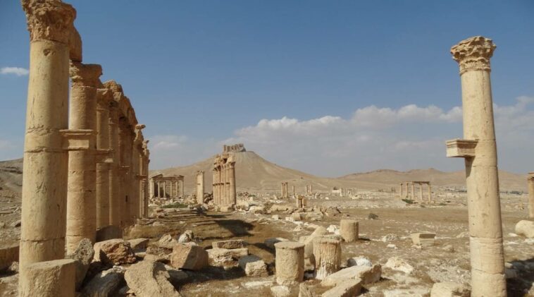 Encuentran fosa común de víctimas del Estado Islámico en Palmira, Siria, según informe