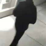 La policía de California ha publicado imágenes que muestran a un hombre con un suéter con capucha, gorro, jeans y una máscara estilo COVID completamente negra.