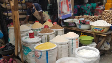 FMI aprueba financiamiento de emergencia para países que sufren inseguridad alimentaria |  The Guardian Nigeria Noticias