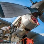 La Fuerza Aérea de los Estados Unidos ha dejado en tierra una gran parte de sus aviones de carga C-130H en medio de preocupaciones de que fueron construidos con barriles de hélice defectuosos que podrían agrietarse y perder líquido.