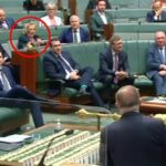 La parlamentaria de la coalición, Michelle Landry, publicó capturas de pantalla de imágenes del parlamento que, según ella, mostraban que Anthony Albanese la estaba atacando, mientras miraba en su dirección, mientras insistía en que su diatriba solo estaba dirigida a Peter Dutton.