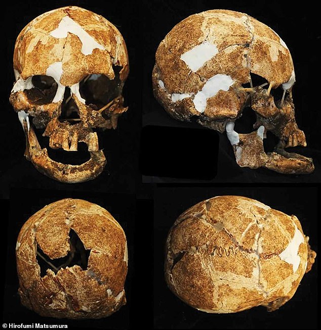 Un análisis de ADN del cráneo muestra que está más cerca de las muestras africanas y las características del cráneo se asemejan a las de los negritos de Filipinas y Sudáfrica, quienes son bien conocidos por su baja estatura y tamaño corporal pequeño.