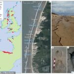 Cientos de antiguas huellas de animales y humanos encontradas en una playa de Merseyside registran una importante disminución de la biodiversidad en Gran Bretaña hace unos 5.500 años, según han descubierto investigadores
