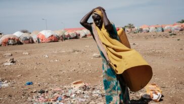 Los ministros regionales del Cuerno de África piden coordinación para hacer frente a la inseguridad alimentaria