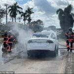 Los bomberos de Florida están lidiando con un nuevo problema a raíz de las inundaciones dañinas del huracán Ian: incendios explosivos causados ​​por baterías empapadas en vehículos eléctricos.  ARRIBA: Bomberos en Naples, Florida, manejan las secuelas de un incendio en un Tesla