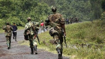 Presuntos rebeldes matan a 10 en el este de la República Democrática del Congo |  The Guardian Nigeria Noticias