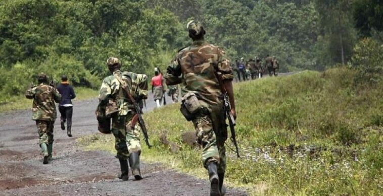 Presuntos rebeldes matan a 10 en el este de la República Democrática del Congo |  The Guardian Nigeria Noticias