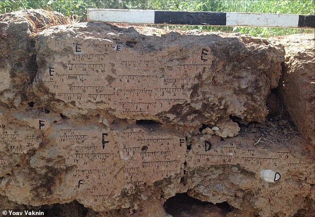 El equipo cavó a través de capas de destrucción para descubrir grabaciones del campo magnético de la Tierra en una pared de ladrillos de barro quemado.  Esta región es de Tel Batash (Bíblica Timnah) y muestra marcas de la orientación del campo.