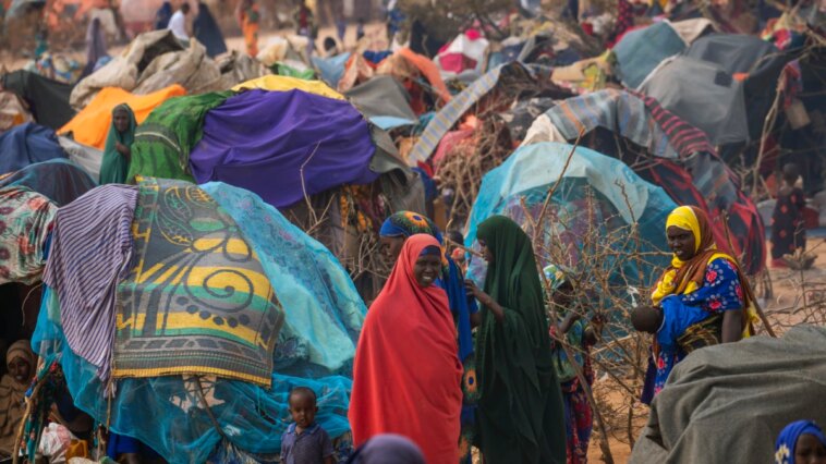 Somalia lidia con crisis humanitarias y de derechos humanos
