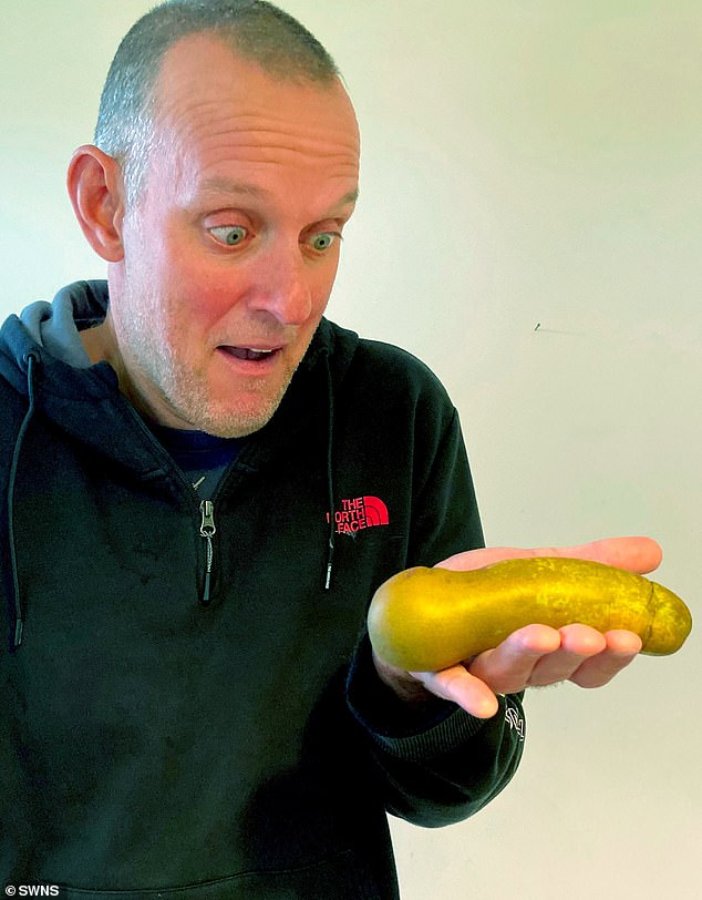 Johnny O'Connell, de 43 años, se echó a reír cuando descubrió la fruta de siete pulgadas que tiene un parecido sorprendente con los genitales masculinos.
