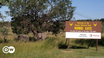 Sudáfrica: Turista alemán asesinado a tiros cerca del Parque Nacional Kruger