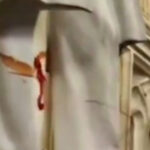Activistas arrojan 'sangre' a la estatua de Balfour en Londres