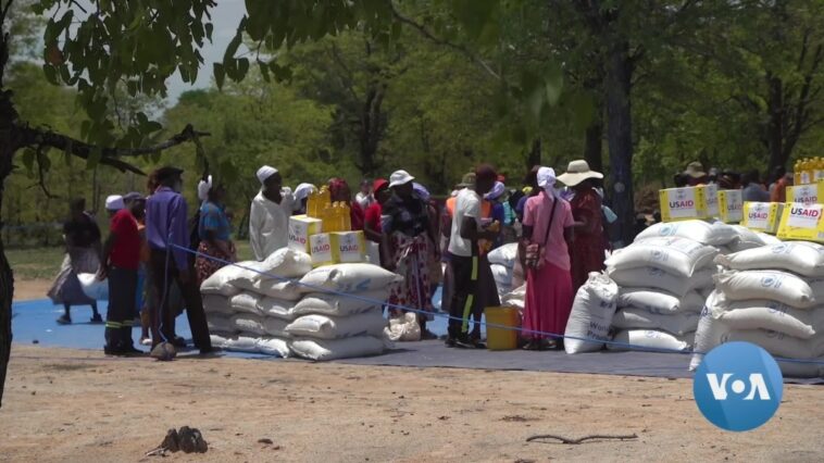 Algunos zimbabuenses necesitan ayuda alimentaria a pesar de la excelente cosecha de trigo