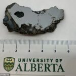 Dos nuevos minerales nunca vistos en la Tierra fueron identificados en una sola rebanada de meteorito de dos onzas
