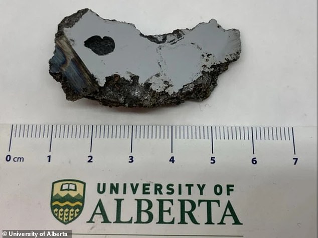 Dos nuevos minerales nunca vistos en la Tierra fueron identificados en una sola rebanada de meteorito de dos onzas