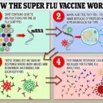 La vacuna contiene instrucciones de codificación genética para los 20 subtipos de gripe conocidos.  Cuando se inyectan en el cuerpo, las células producirán réplicas de las proteínas que aparecen en cada tipo de gripe.  Estos provocan una respuesta inmunitaria en la que el cuerpo crea y recuerda anticuerpos para cada subtipo de gripe.  La respuesta inmunitaria se puede recuperar si el cuerpo encuentra gripe en el futuro.