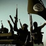ISIS disfrutó de un ascenso meteórico en Irak y Siria en 2014 que lo vio conquistar vastas extensiones de territorio