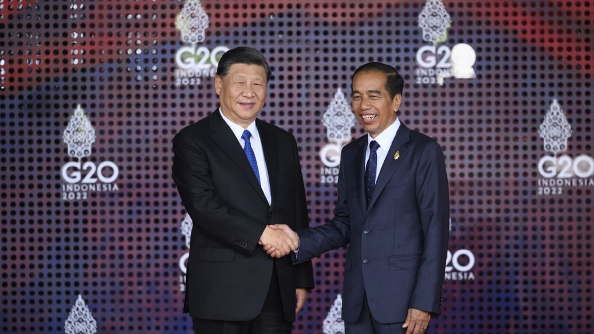 Jokowi y Xi presencian juicio de tren de alta velocidad fabricado en China en Indonesia
