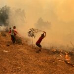 Tribunal de Argelia condena a muerte a 49 personas por linchamiento en un incendio forestal