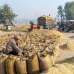 ¿Pueden las compras agrícolas enfermas de la India encontrar un nuevo modelo?  - Observador justo