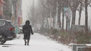(3rd LD) Heavy snow, freezing weather hit much of S. Korea