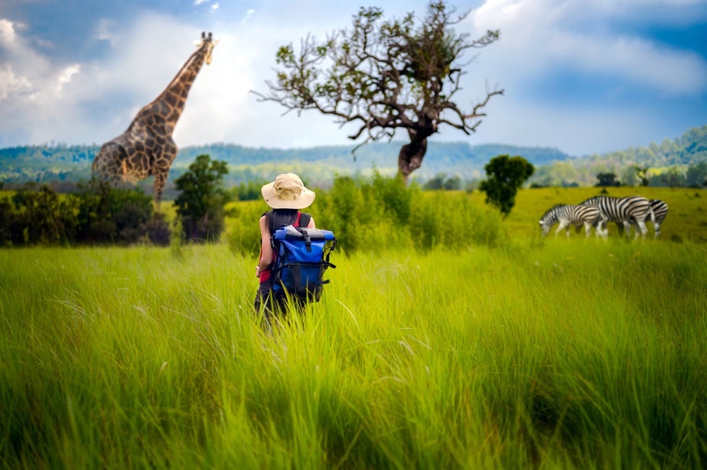 Estados Unidos respalda fondo para safaris sostenibles en África
