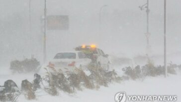 (LEAD) Heavy snow causes flight cancellations, road accidents
