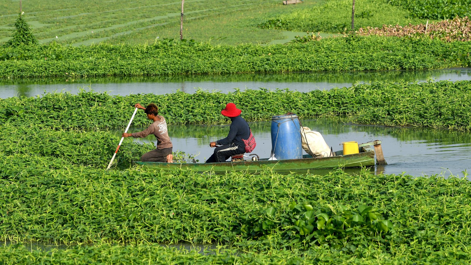 Afectados por el cambio climático, los agricultores de Camboya arriesgan todo con los microcréditos
