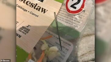 Una madre afirma que ha mordido una aguja oxidada (en la foto) que estaba dentro de su bolsa de ensalada de col que compró en Claremont Quarter Coles, Perth, el Boxing Day