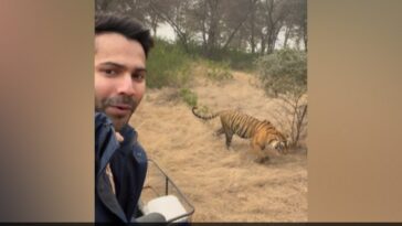Fantastic Beasts And Where To Find Them - Try Varun Dhawan