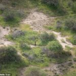 Después de seis días solo, el joven (en la foto) finalmente fue encontrado después de que se desplegara un grupo de búsqueda para encontrarlo.  Fue visto desde el aire por el piloto Roan Carr-Hartley en el desierto de Kenia.