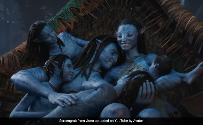 Avatar: The Way Of Water Reviewed By Akshay Kumar And Varun Dhawan