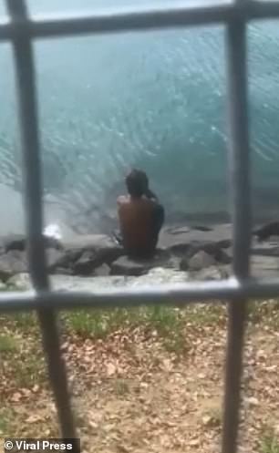 La bestia arrebató al joven de la canoa mientras la pareja pescaba en la costa de Lahad Datu en Sabah.  Se ve a los lugareños fotografiando el incidente.