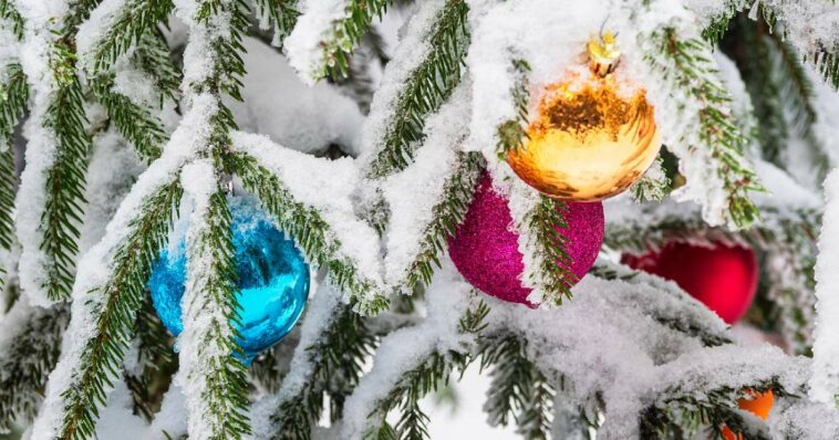 Blanca Navidad en Alemania: ¿Suele nevar, llover o hacer sol?