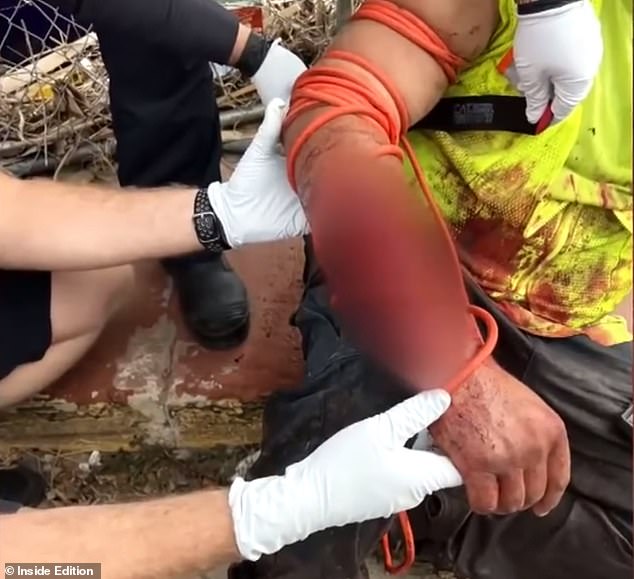 Caimán de Florida será asesinado después de mutilar a un hombre que se lavó las manos en un estanque turbio