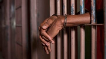 Chad encarcela a 262 en juicio masivo después de protestas mortales |  The Guardian Nigeria Noticias