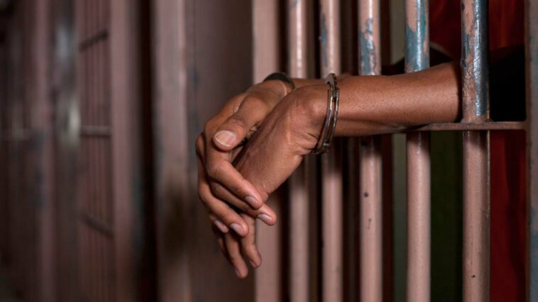 Chad encarcela a 262 en juicio masivo después de protestas mortales |  The Guardian Nigeria Noticias