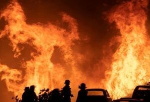 Chile: Evacuan sector de Viña del Mar por incendios forestales