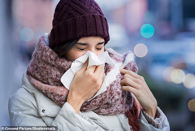 Los científicos han descubierto la razón biológica por la que los resfriados son más frecuentes cuando hay temperaturas frías durante el invierno.