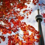 Cinco ciudades canadienses entre las 100 mejores ciudades para vivir