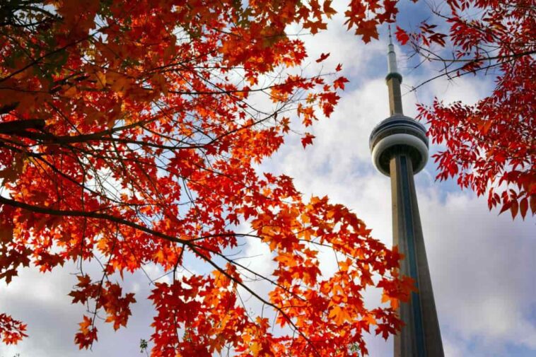 Cinco ciudades canadienses entre las 100 mejores ciudades para vivir