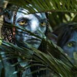 Colección del día 3 de la taquilla de Avatar The Way of Water: la película supera los 100 millones de rupias en India, $ 435 millones en todo el mundo