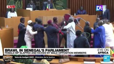 Conmoción en Senegal cuando una diputada agredida por sus colegas masculinos en el parlamento