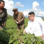 N. Korea revises laws on agriculture, grain distribution amid food shortages