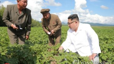 N. Korea revises laws on agriculture, grain distribution amid food shortages