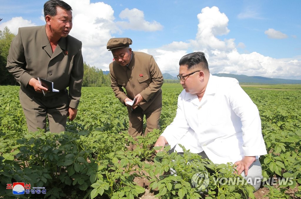 N. Korea revises laws on agriculture, grain distribution amid food shortages