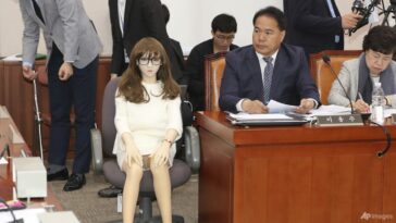 Corea del Sur permite la importación de muñecas sexuales como asunto privado