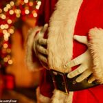 Un experto en salud ha pedido a los Santas del centro comercial que reduzcan el peso, diciendo que un Papá Noel con sobrepeso está enviando