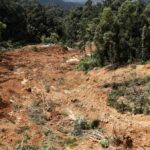 El deslizamiento de tierra fatal en el campamento cerca de Genting Highlands es 'sin precedentes' en Malasia, dice un experto en geología