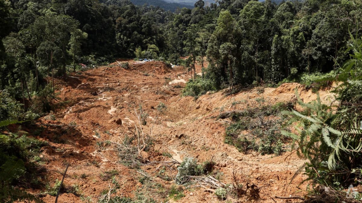 El deslizamiento de tierra fatal en el campamento cerca de Genting Highlands es 'sin precedentes' en Malasia, dice un experto en geología
